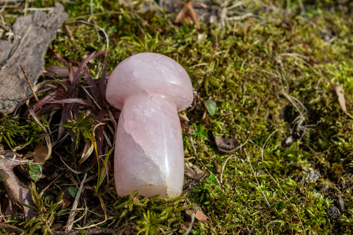 rose quartz mushroom carving polished crystal