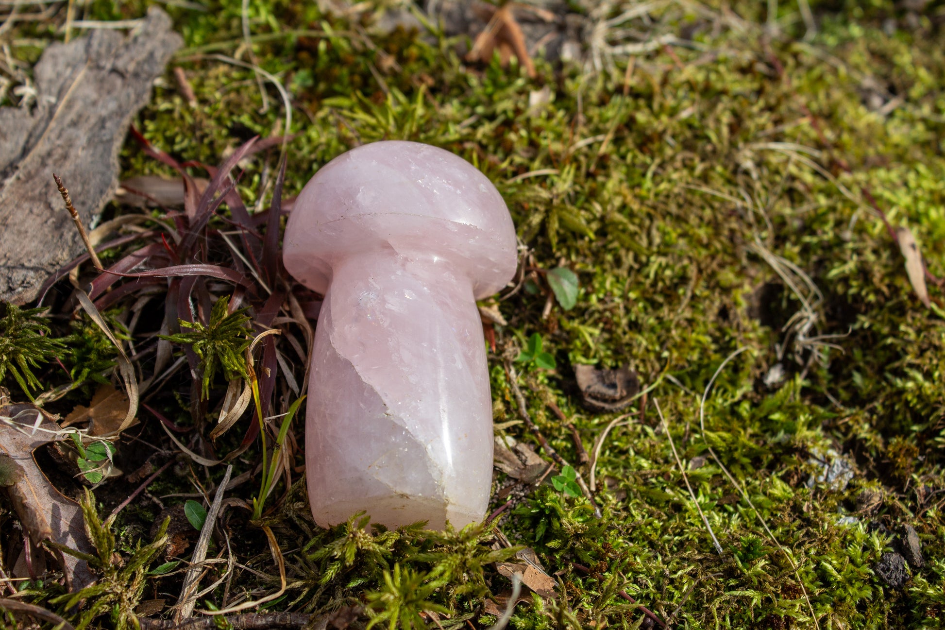 rose quartz mushroom carving polished crystal