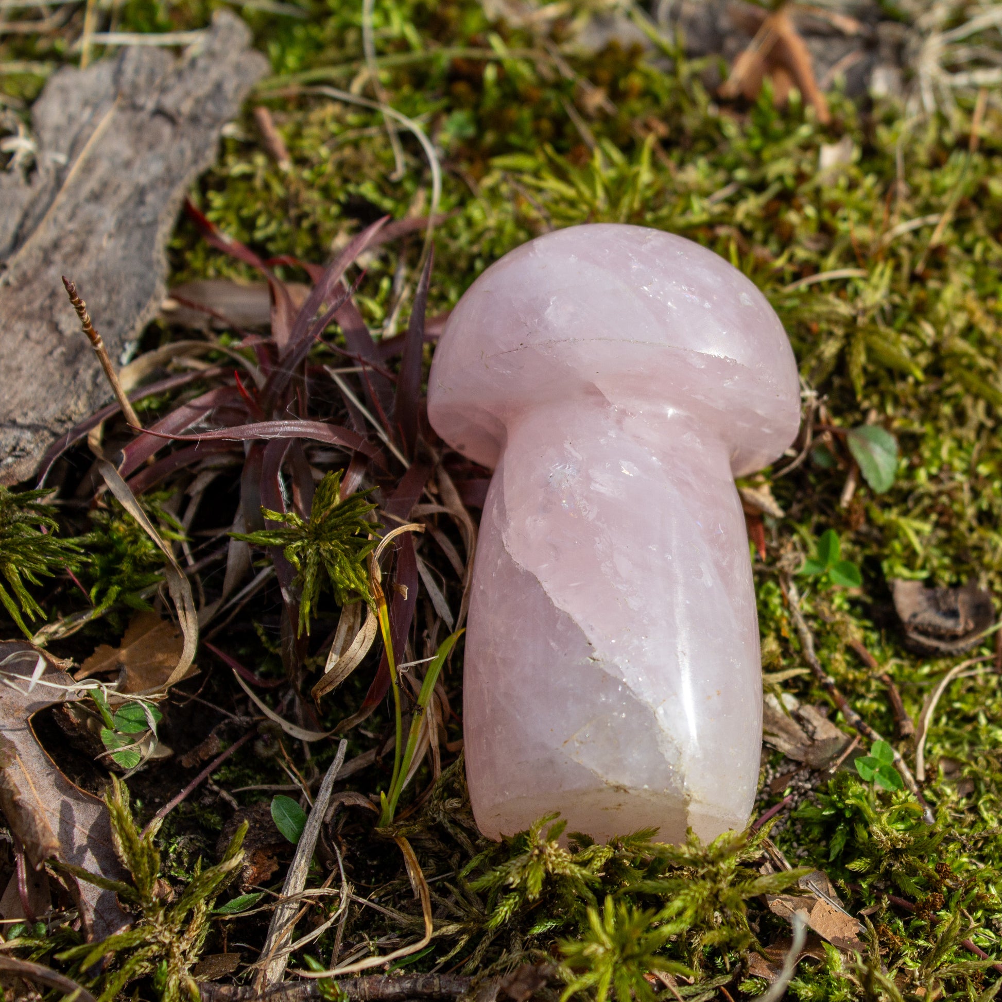 rose quartz mushroom carving polished crystal