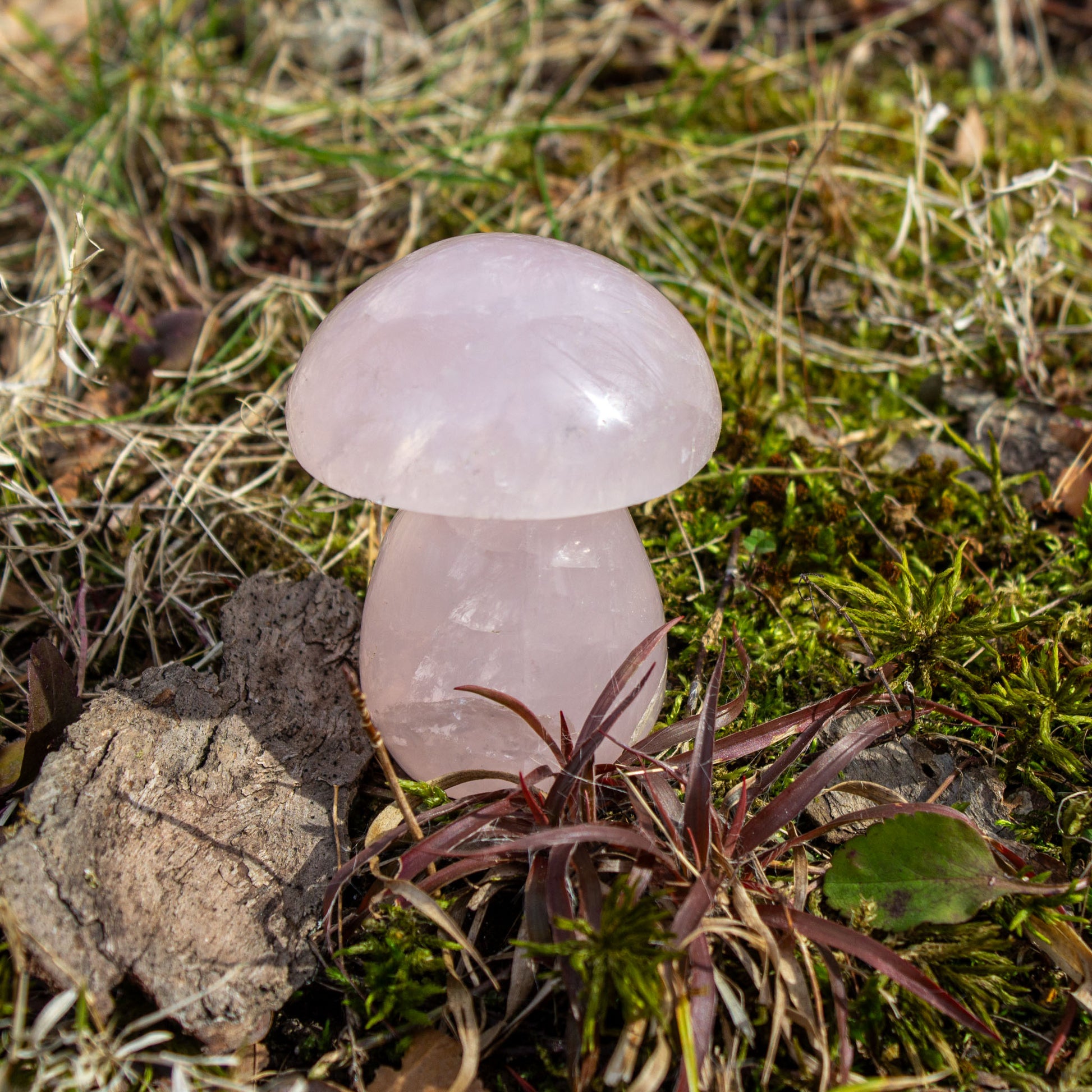 rose quartz mushroom carving polished crystal