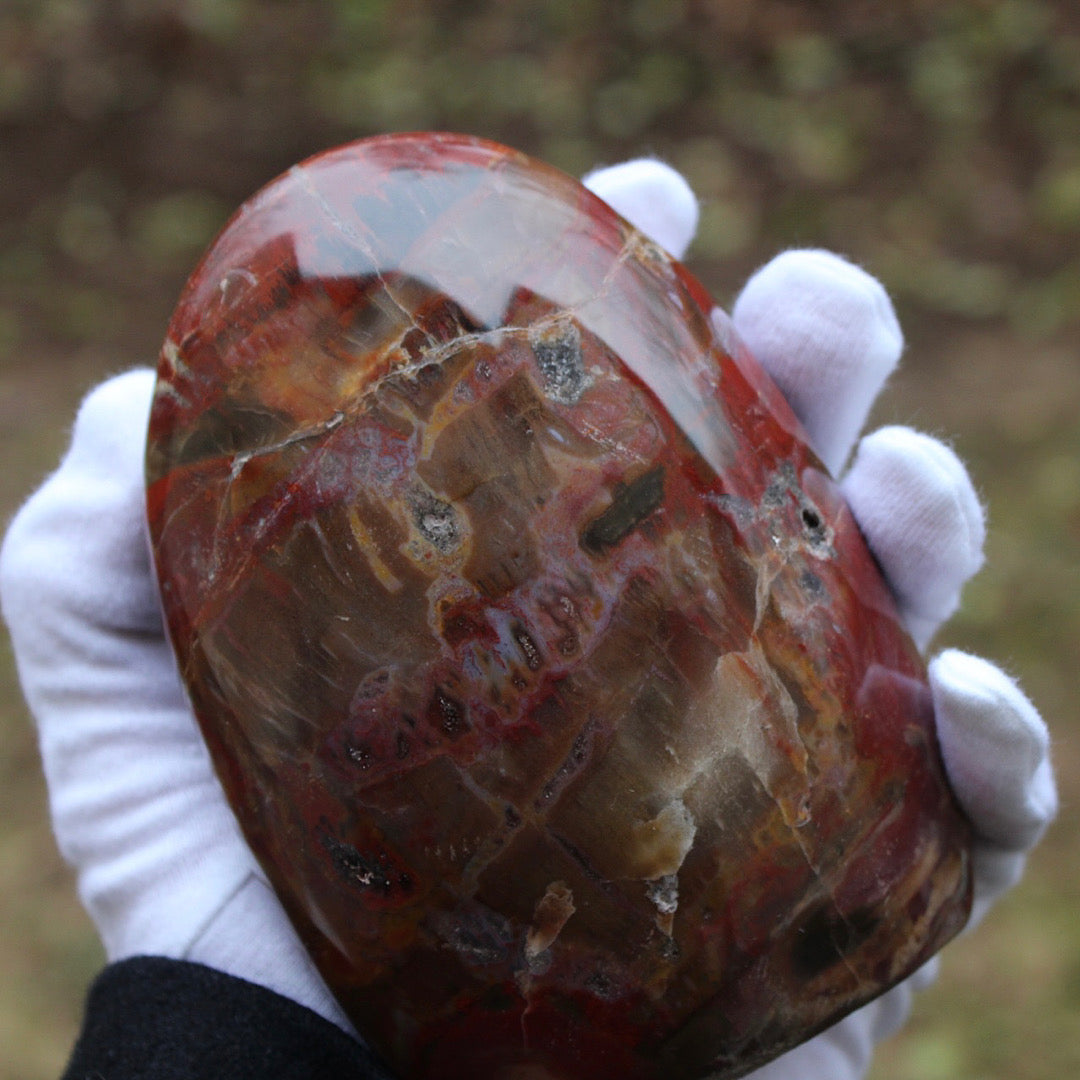 petrified wood hand held