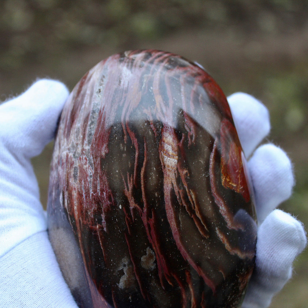 handheld petrified wood