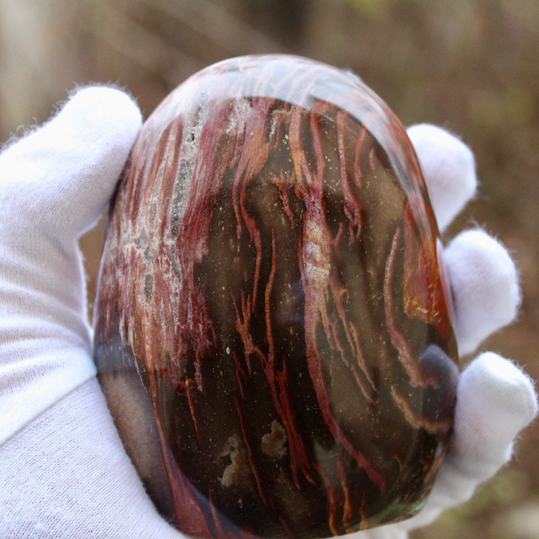 size of petrified wood