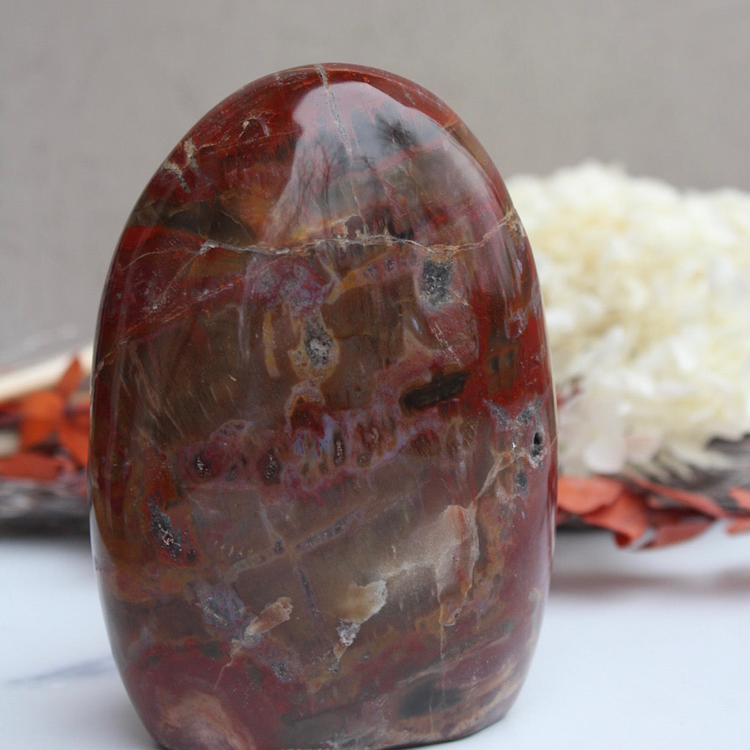 petrified wood close up