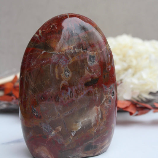 petrified wood close up