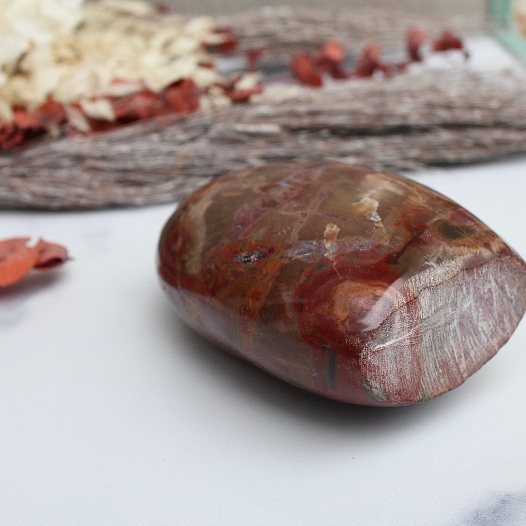 petrified wood cut base free standing