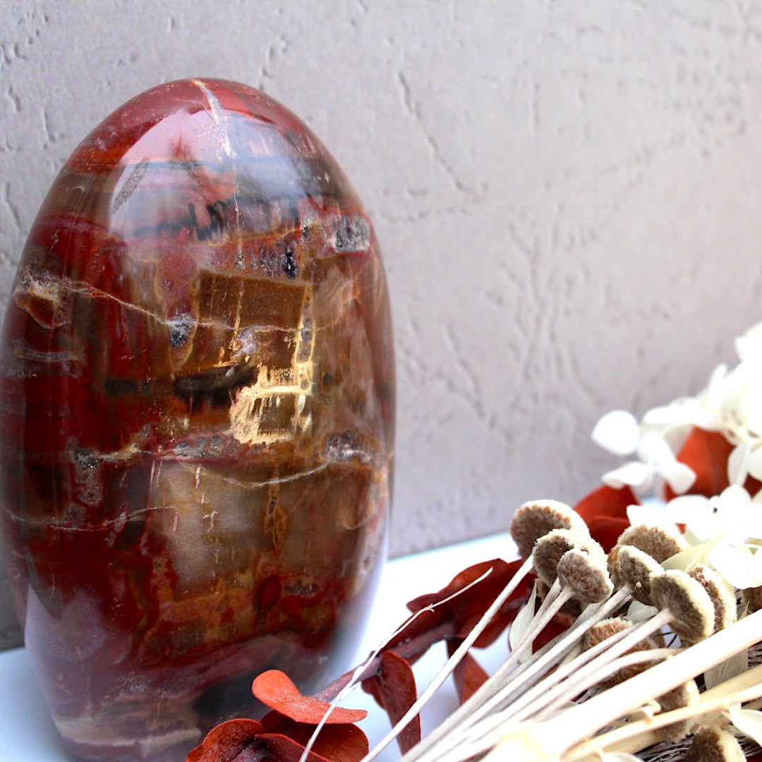 petrified wood vibrant color