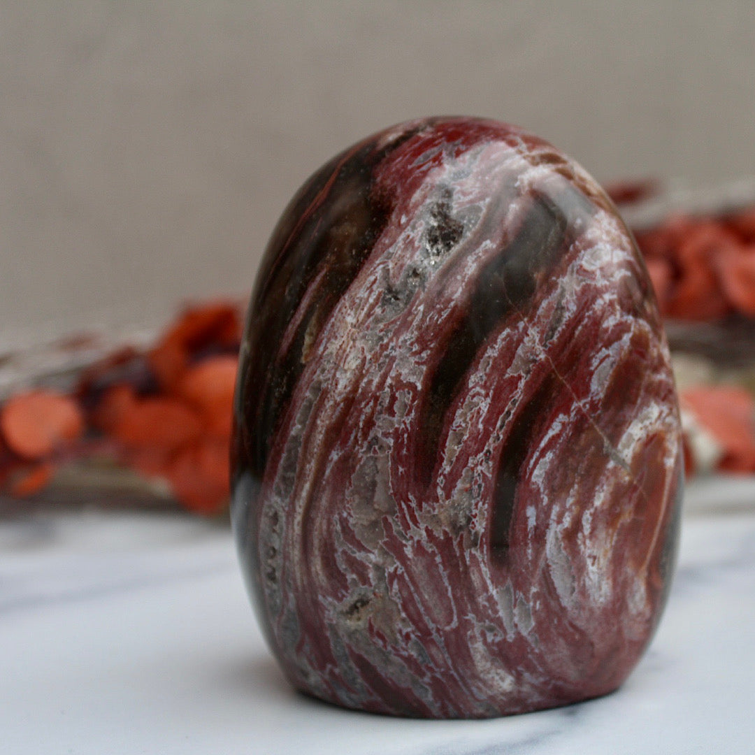 close up view of petrified wood