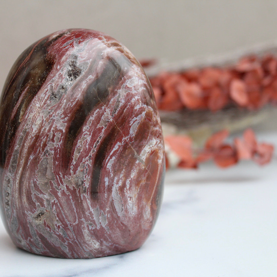 red swirls petrified wood