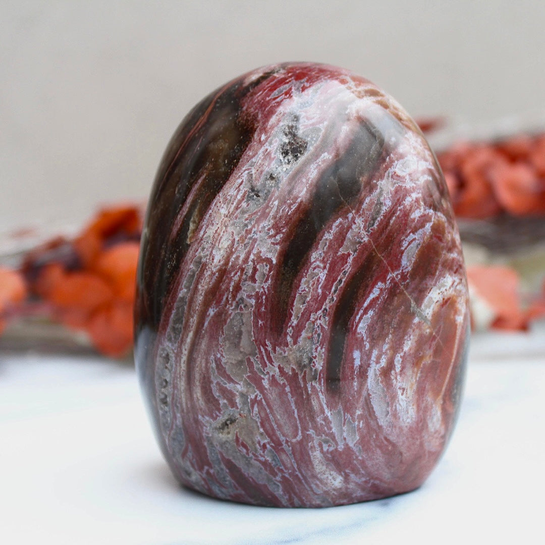 Polished Petrified Wood - Standing (Red Swirl)