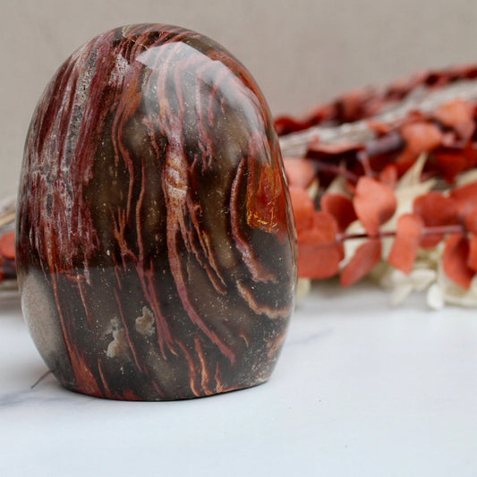 beauty shot petrified wood