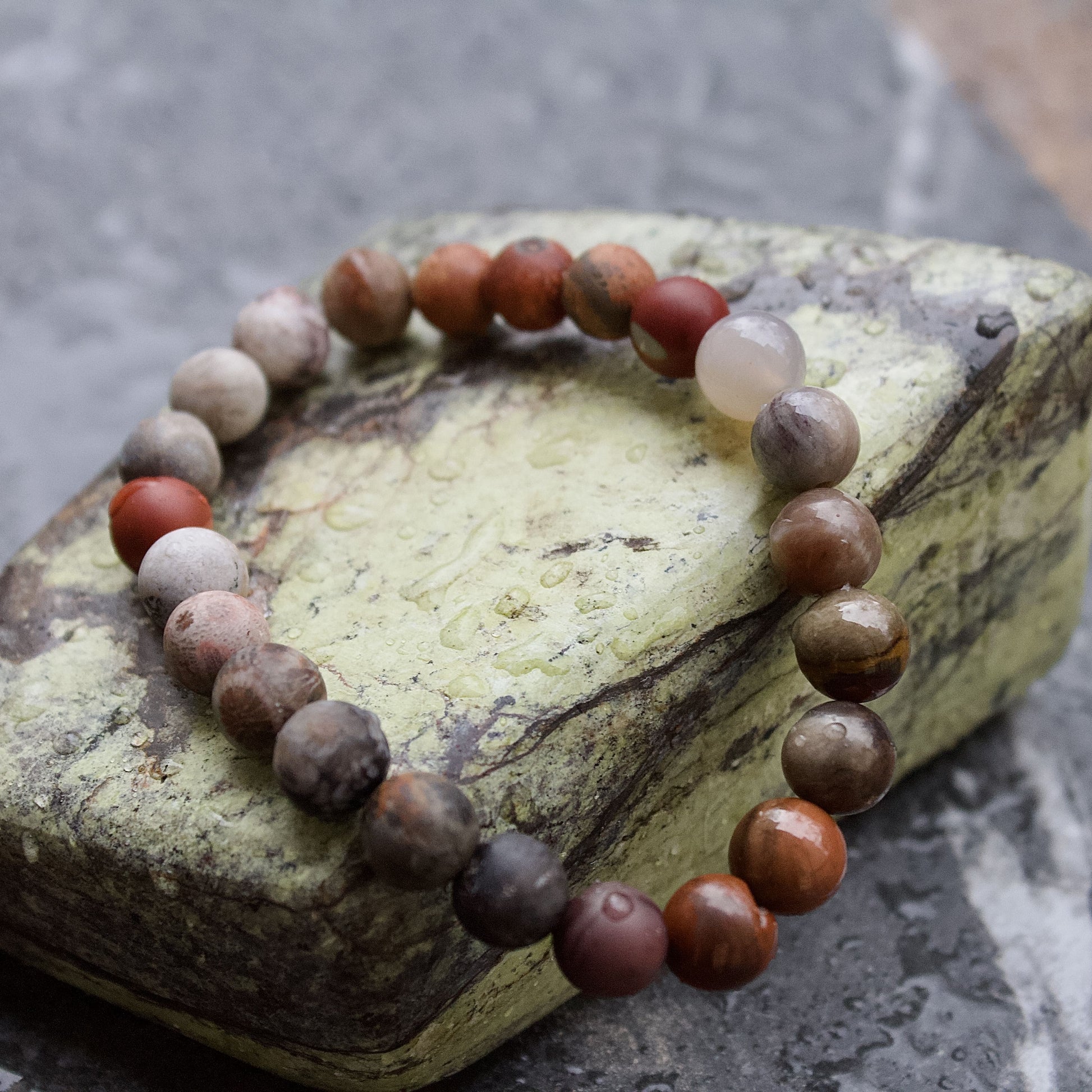 fossil coral polished petrified wood stretch elastic bracelet