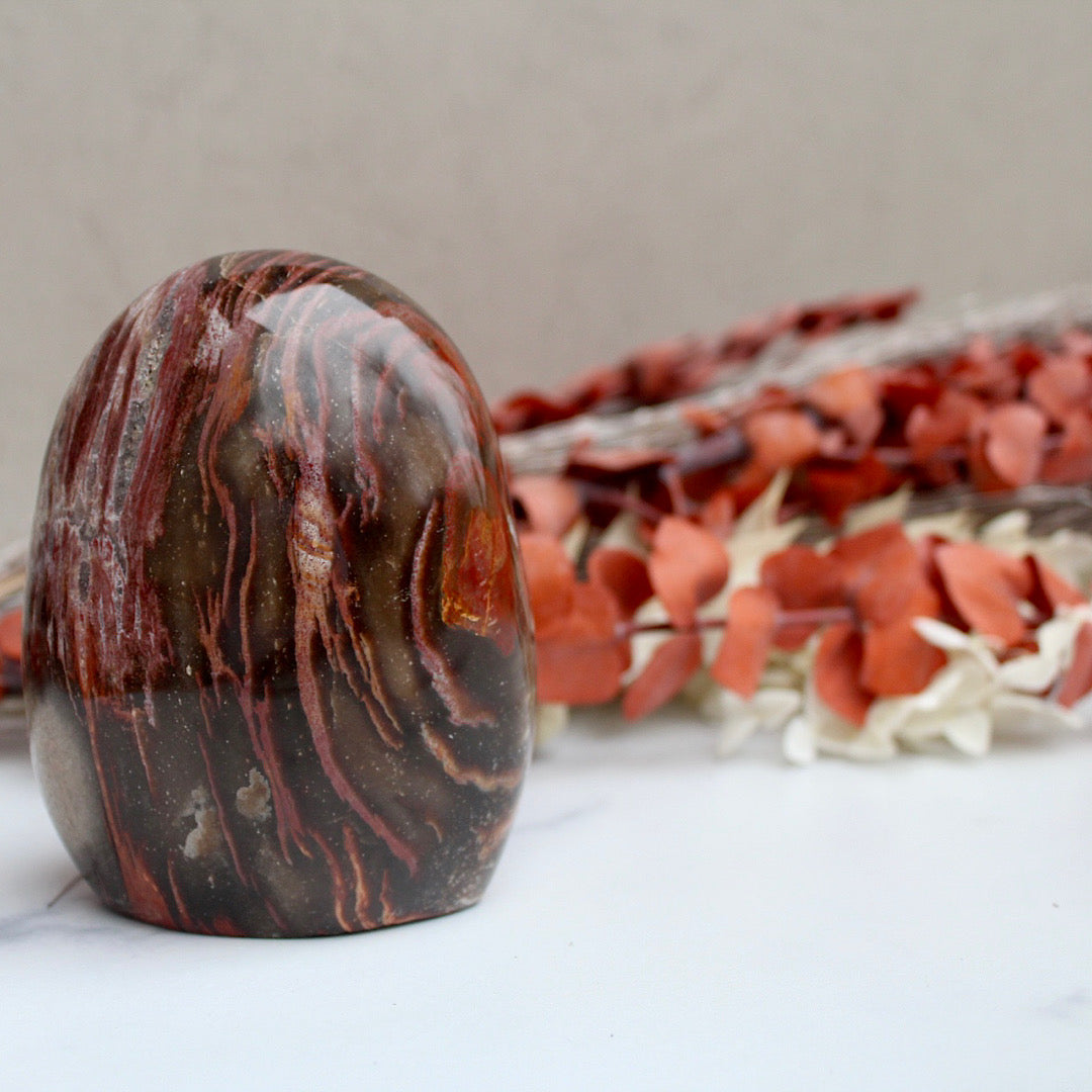 Polished Petrified Wood - Standing (Red Swirl)