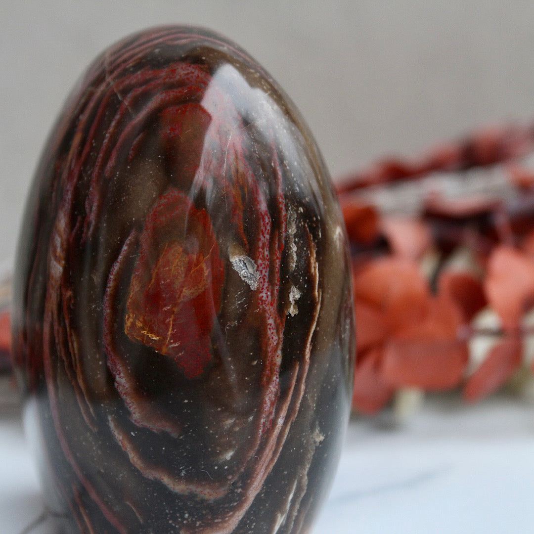 side view petrified wood