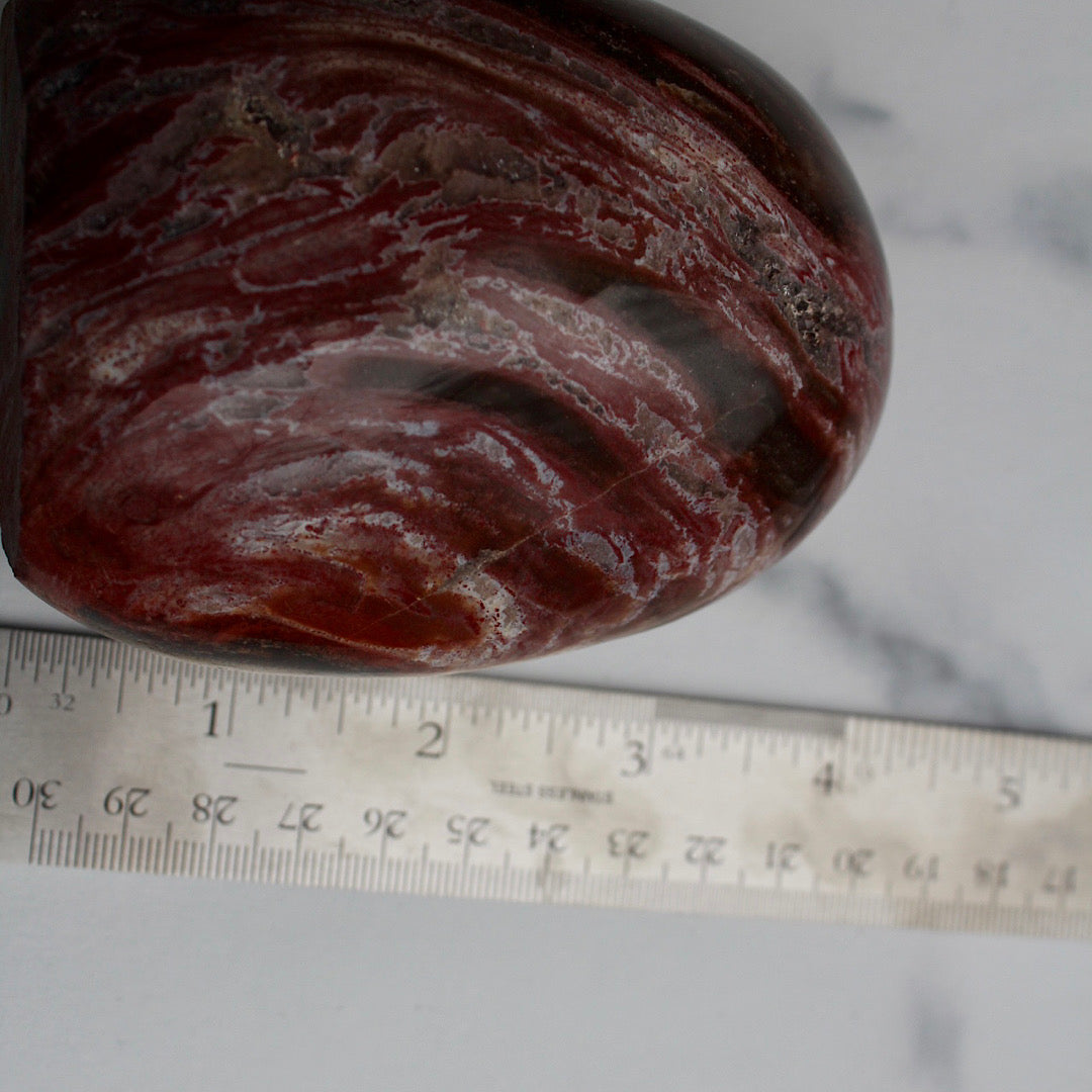 Polished Petrified Wood - Standing (Red Swirl)