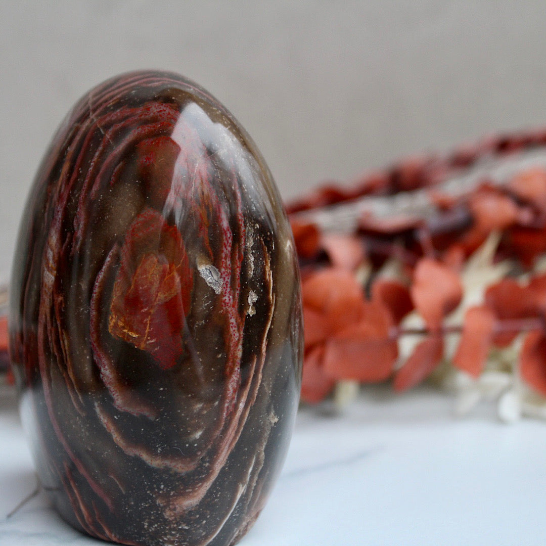 profile view petrified wood