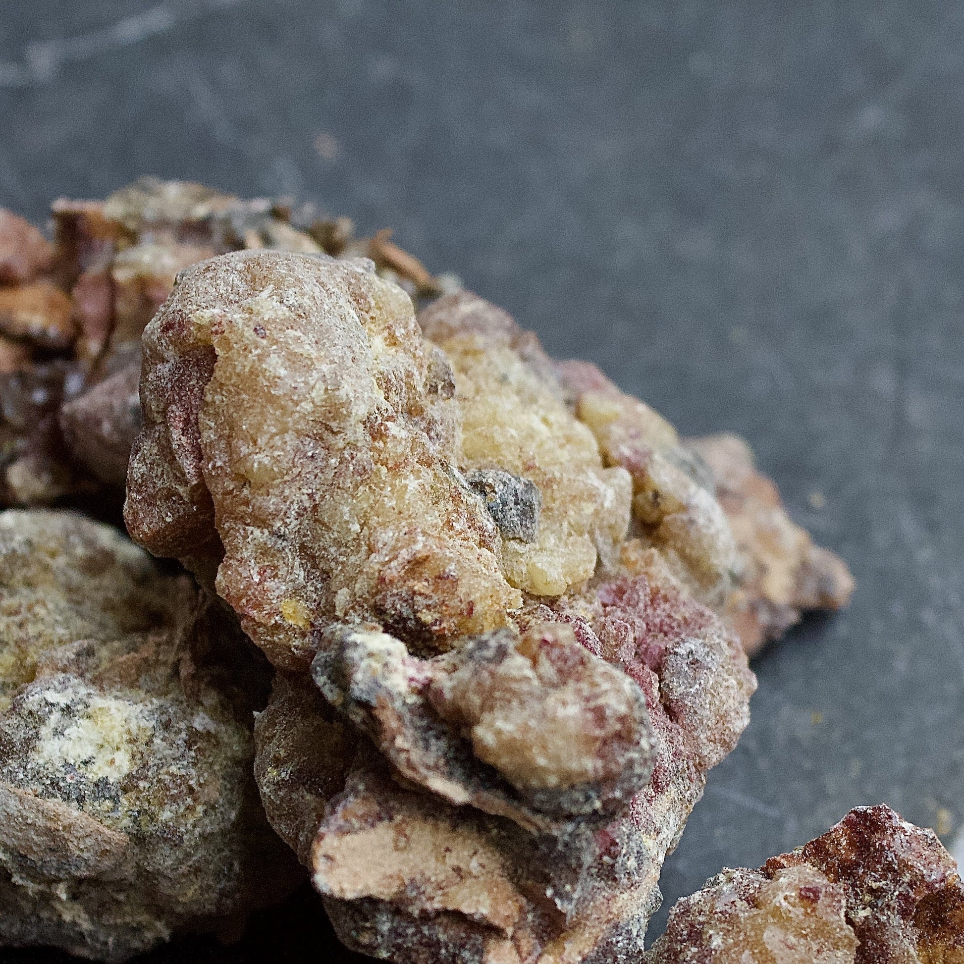 siberian spruce resin incense