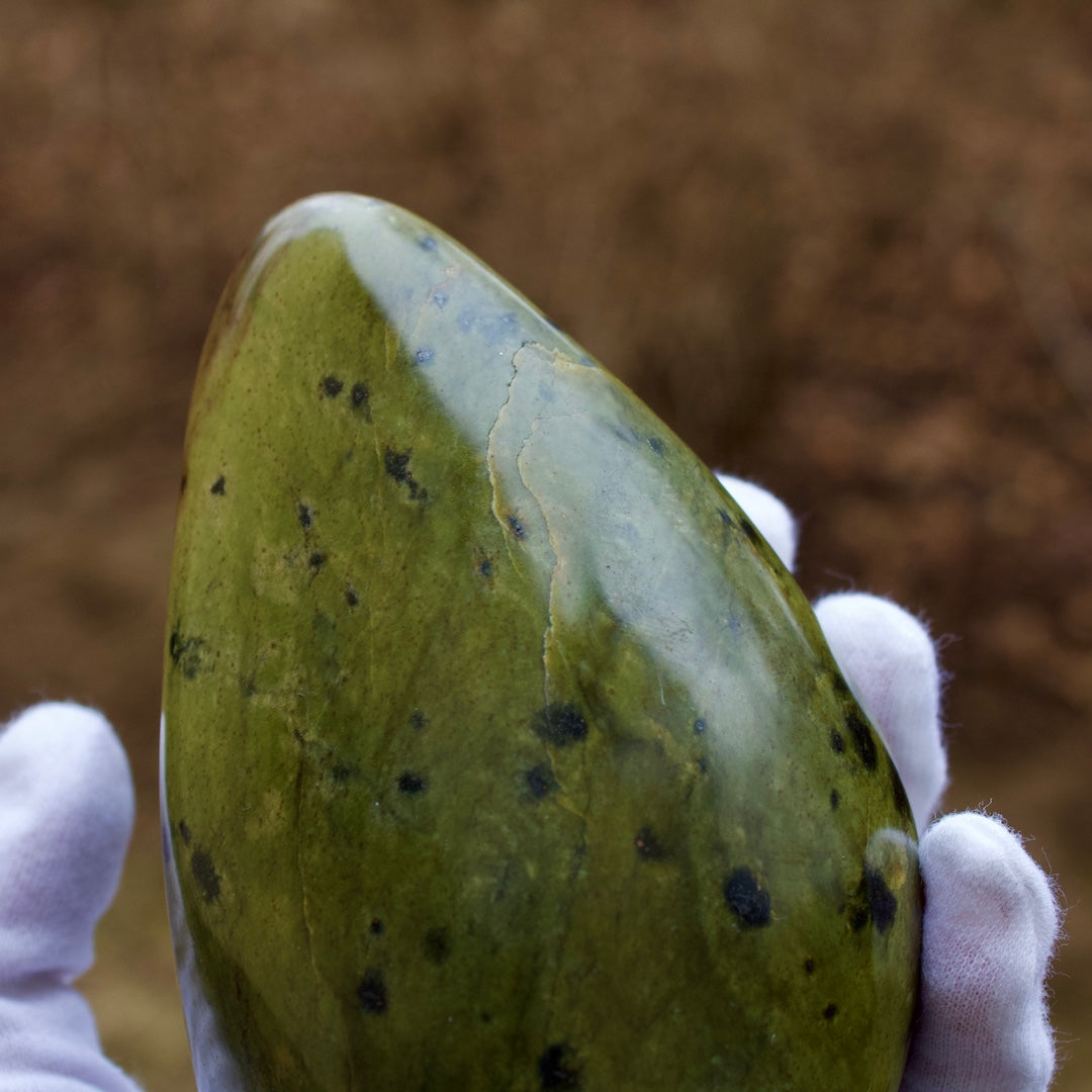 close up leopard rock
