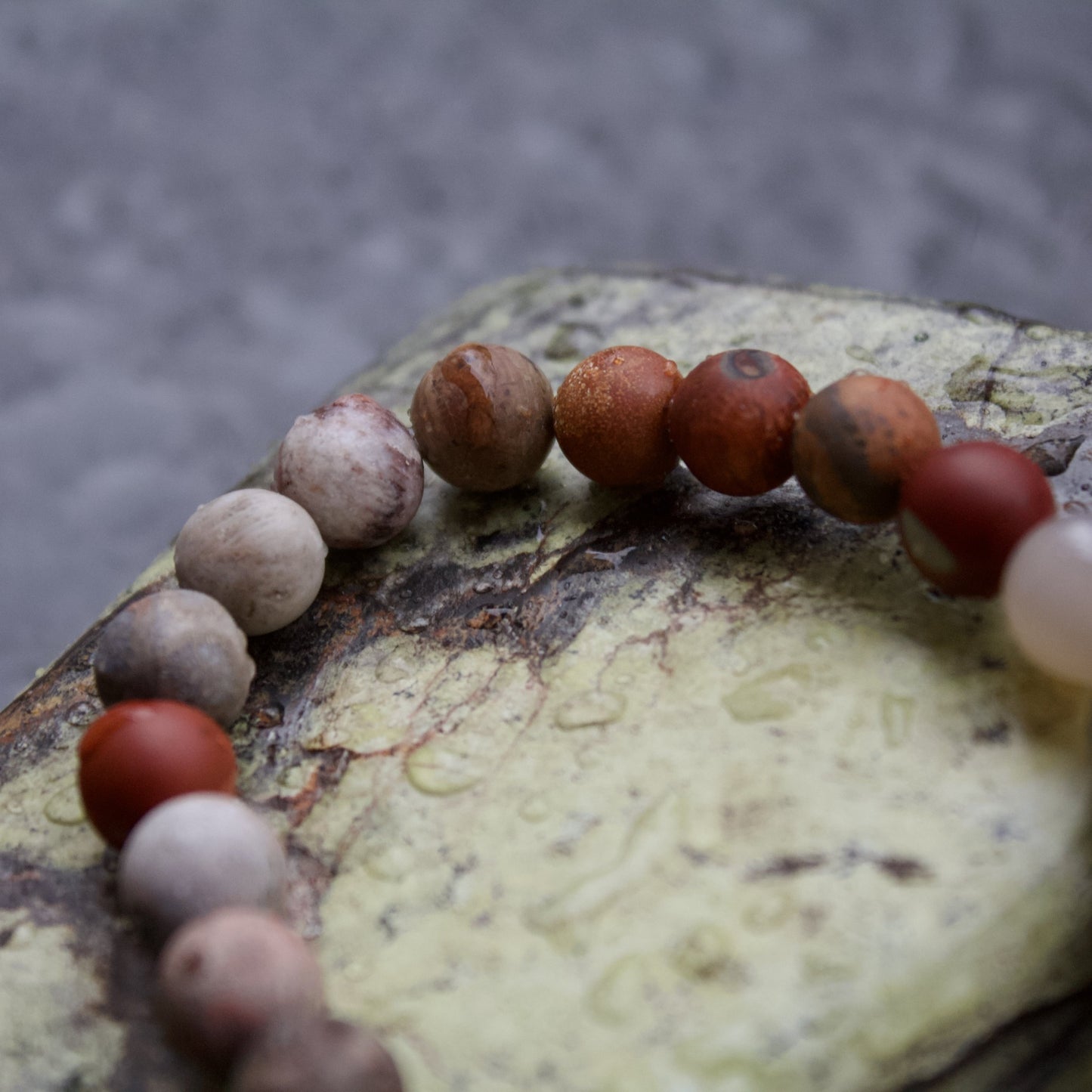 fossil coral polished petrified wood stretch elastic bracelet