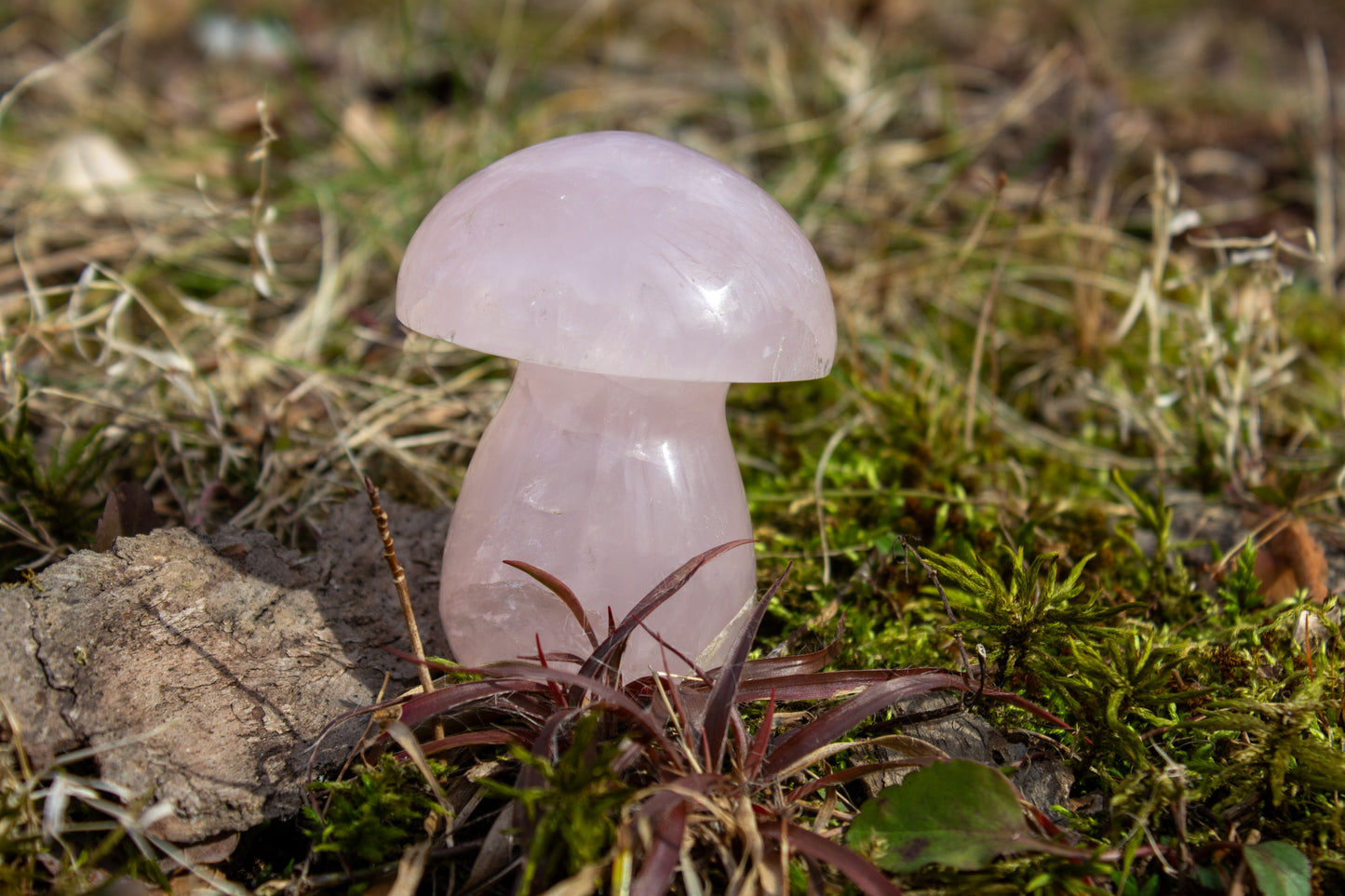 rose quartz mushroom carving polished crystal