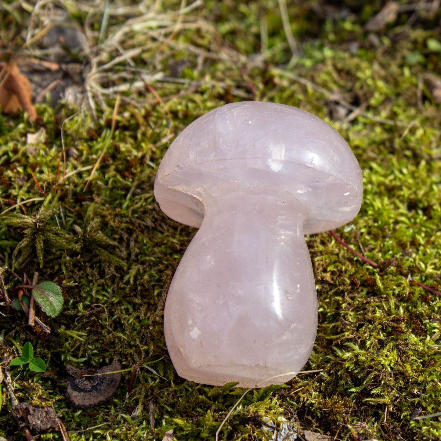 rose quartz mushroom carving polished crystal close up