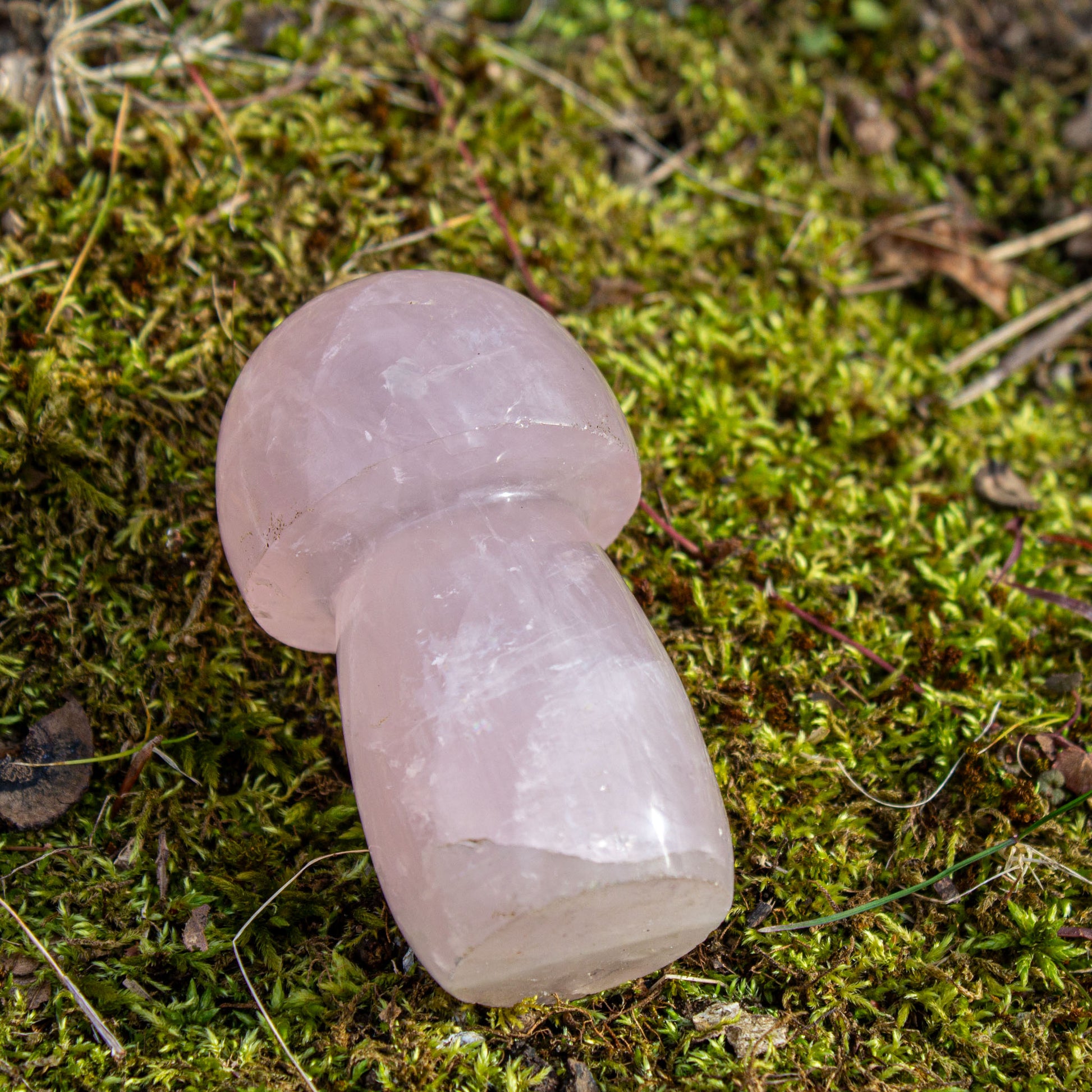 rose quartz mushroom carving polished crystal