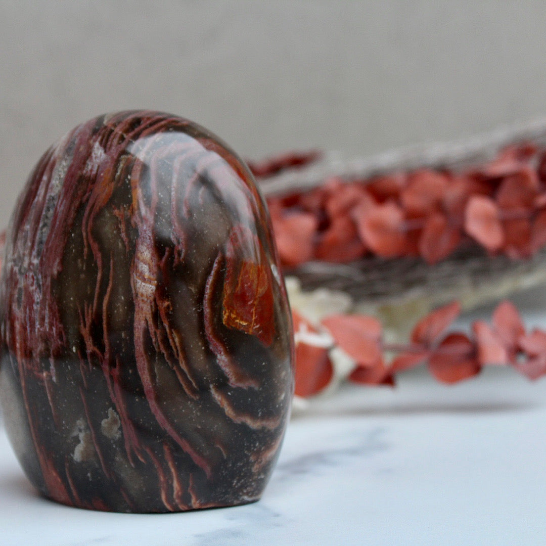 red lines petrified wood