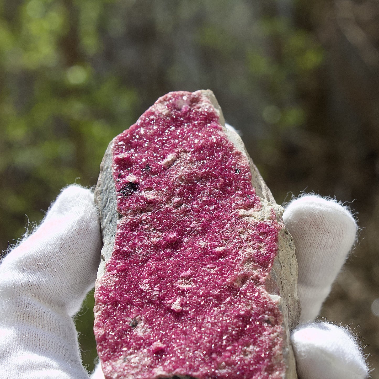 druzy pink salrose