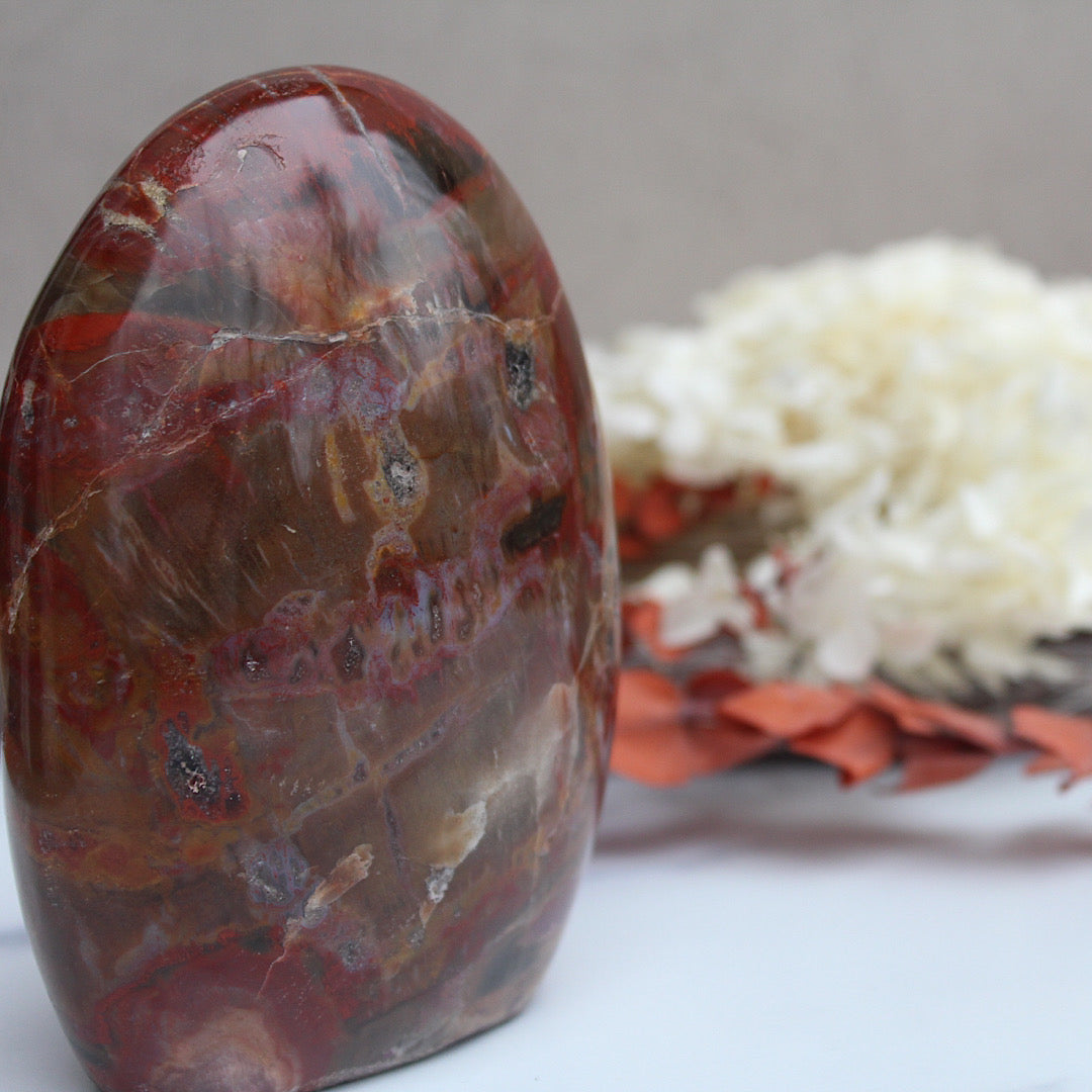 petrified wood close up shot